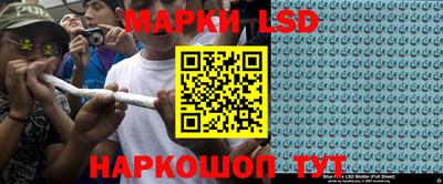 mdpv Новодвинск