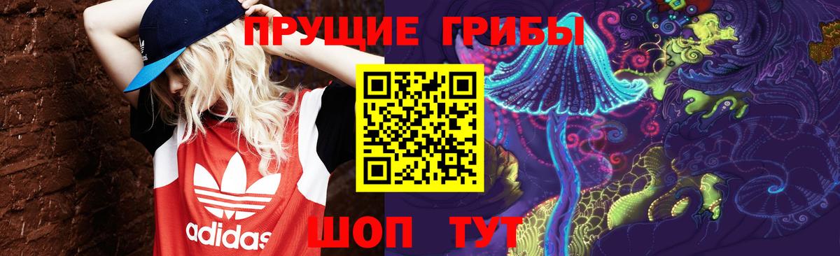 Псилоцибиновые грибы Cubensis  Вход с VPN  Сосновый Бор  Галлюциногенные грибы мицелий 